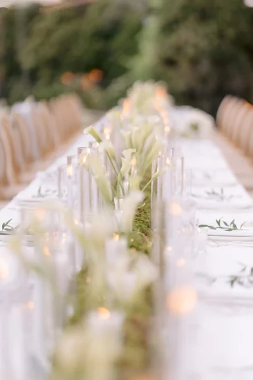 Wedding gallery pictures